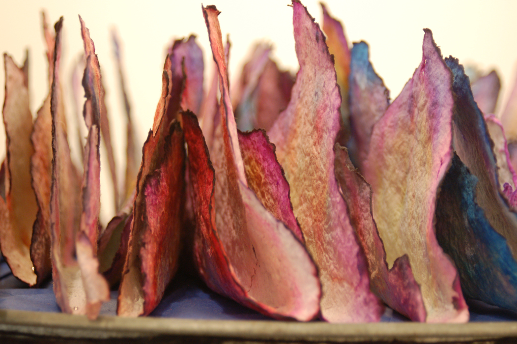 Taco Shells by Helga Grobel
