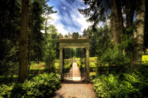 yaddo